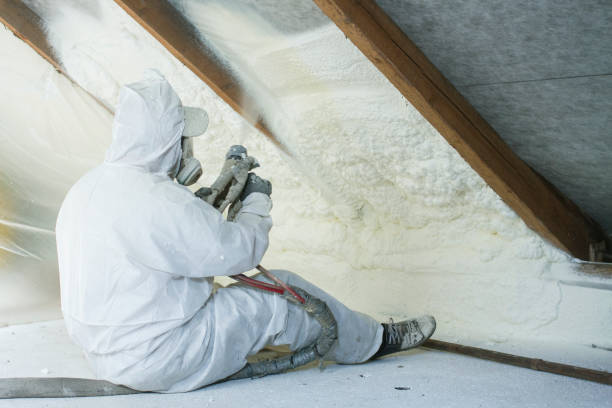 Best Attic Insulation Installation  in Thatcher, AZ